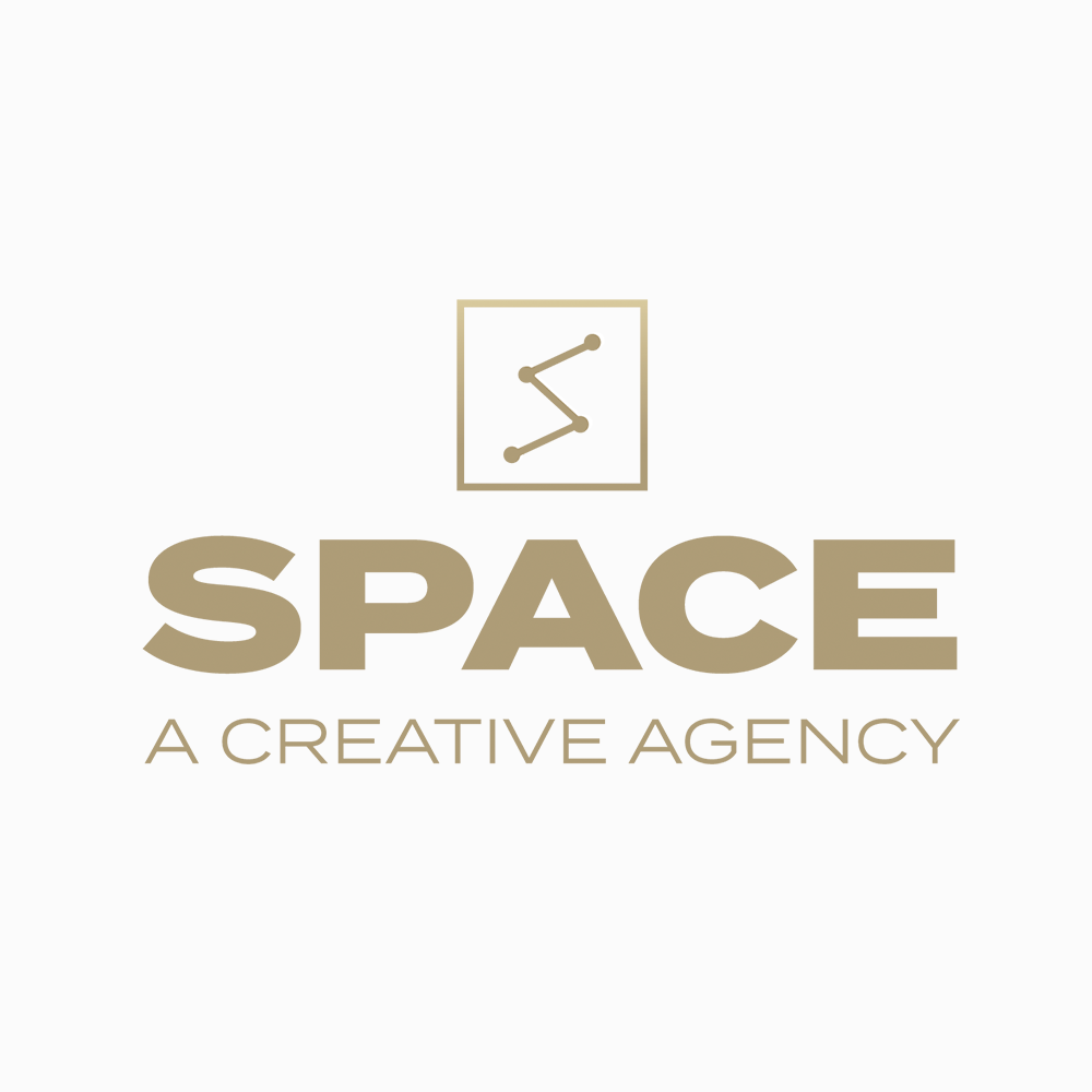 Space Agency logo